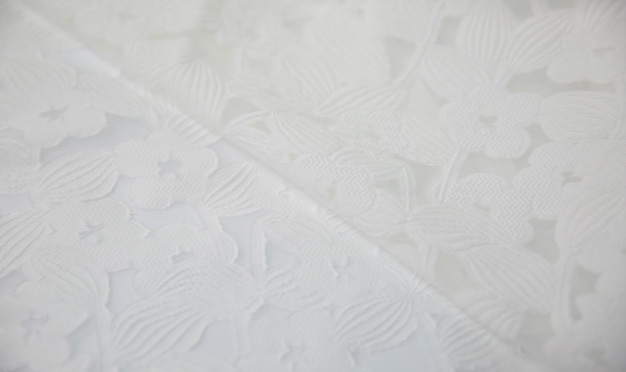 Clip Jacquard Yarn Dye Fabric